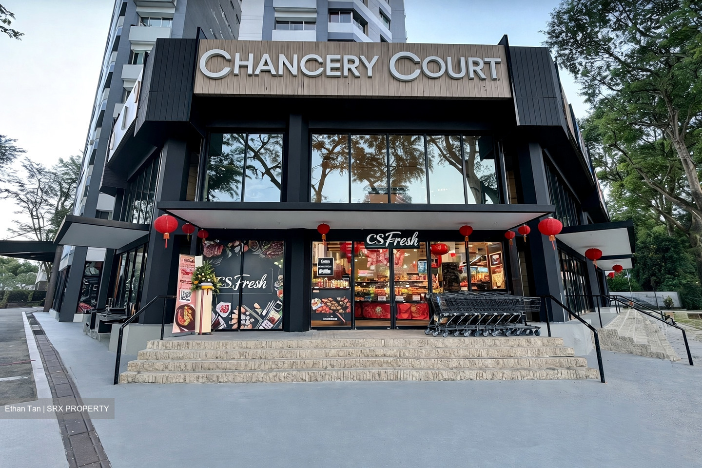 Dunearn Road (D11), Condominium #533963611